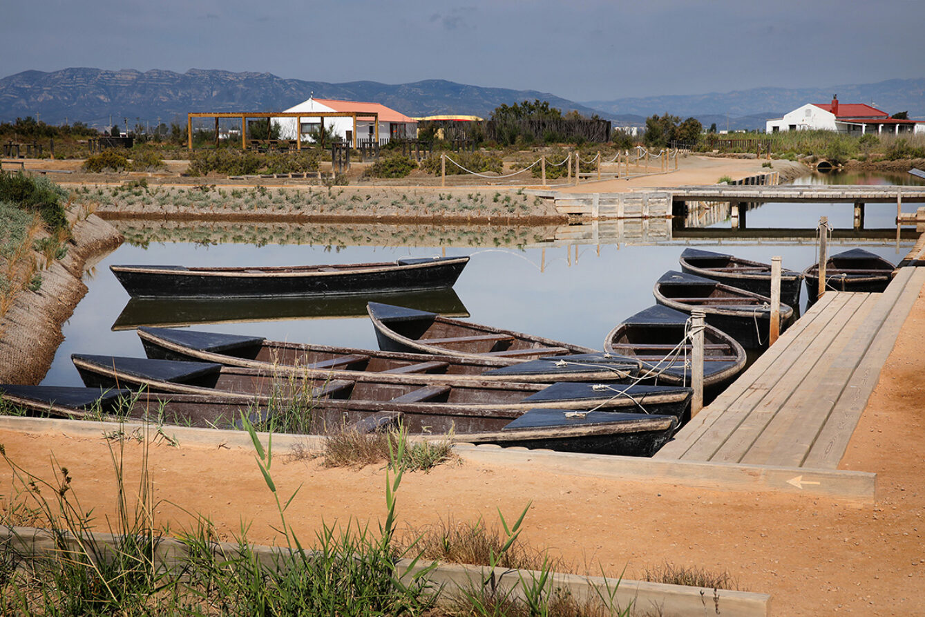 Visite guidée de l'Ebre Delta MónNatura