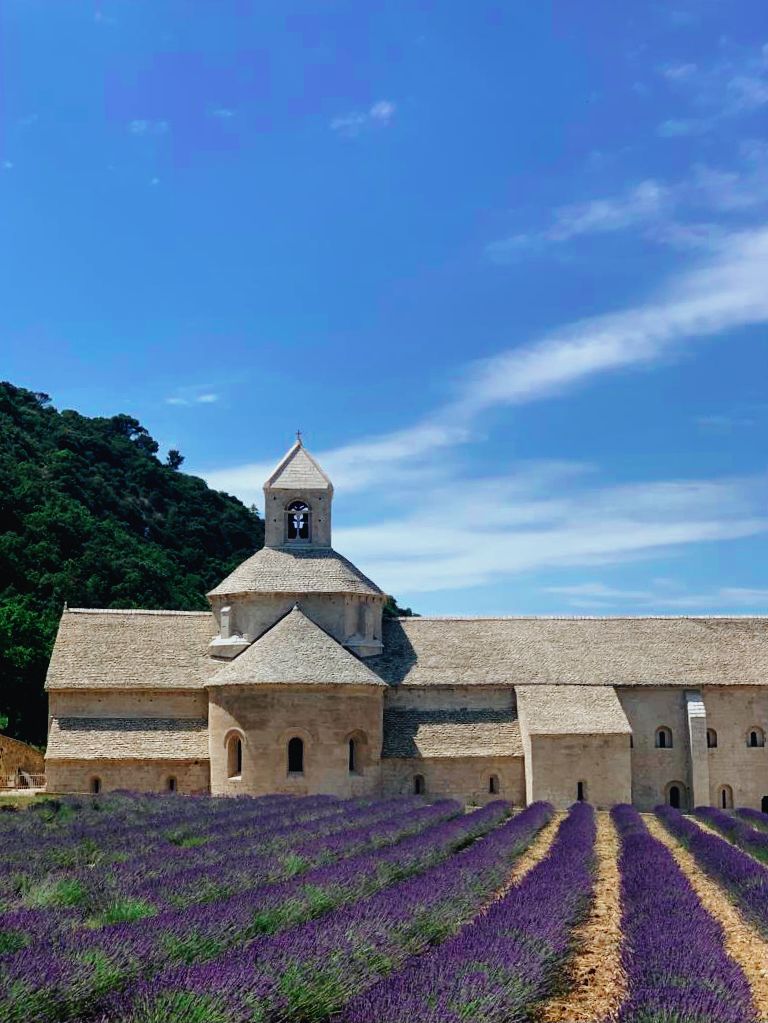 LA PROVENZA CON AROMA DE LAVANDA - VenturaRural